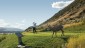 Bighorn Golf & CC, Kamloops