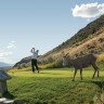 Kamloops Golf Special