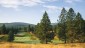 Shadown Mountain Golf Course, Cranbrook | Tourism Kimberley/Colby Johannson