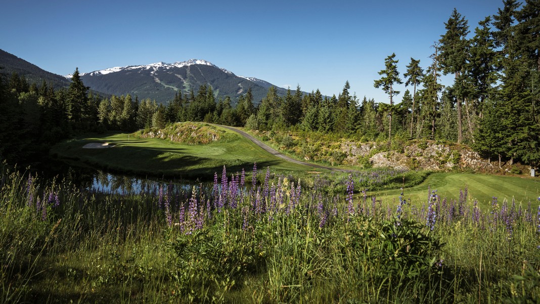 whistler golf