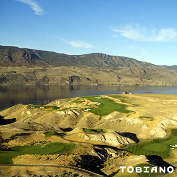 Tobiano