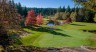 Tee Up Fall Flora & Fauna on and around BC Golf Courses