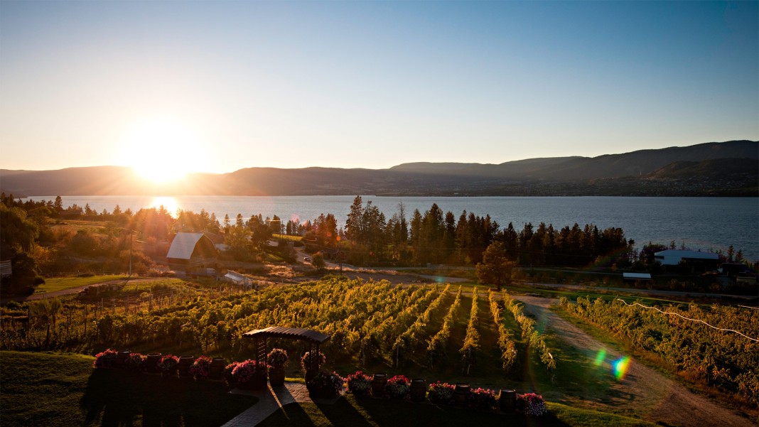 kelowna bc golf and wine