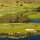 Black Mountain Golf Club