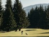 Hirsch Creek Golf & Winter Club